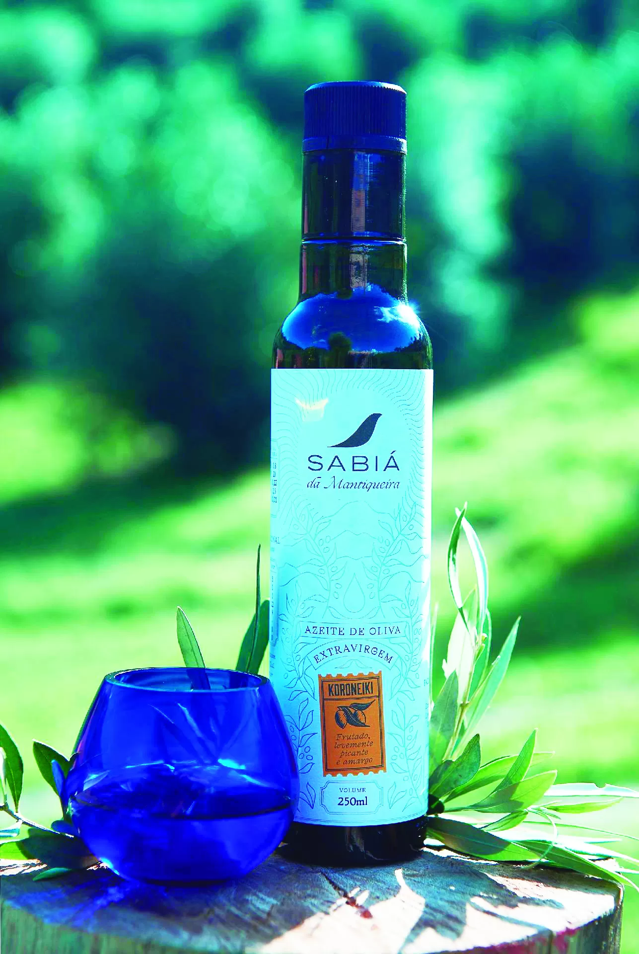 São José Do Pinhal Tem Um Dos Melhores Azeites Do Mundo