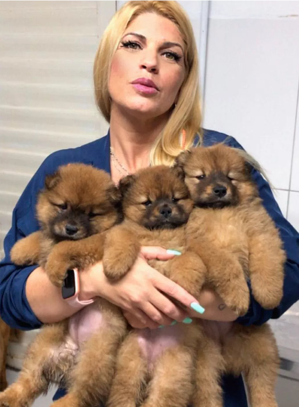 Pets...Os Mais Novos Frequentadores Ilustres dos Shoppings.